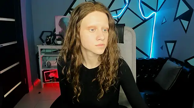 LidaDarknet webcam