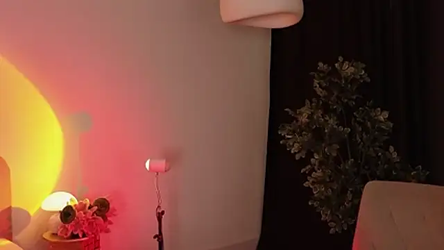 _Selestia_ webcam