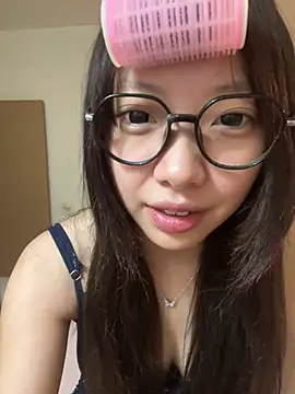 YY-1-1-1 webcam