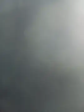 Wesleypikadura webcam