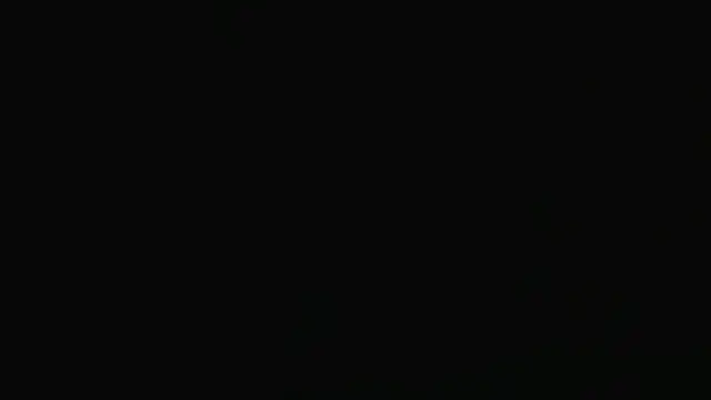 alpha-hunk webcam