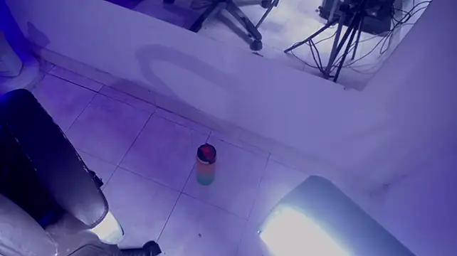 BonnieTrevor webcam