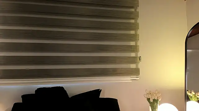 MERIDA_TAYLOR webcam