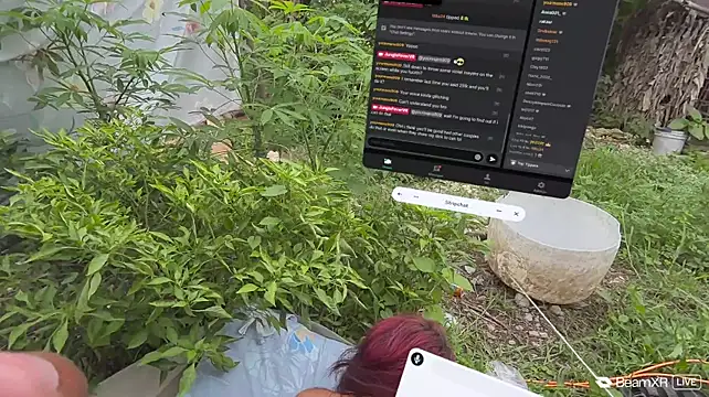 JungleFeverVR webcam