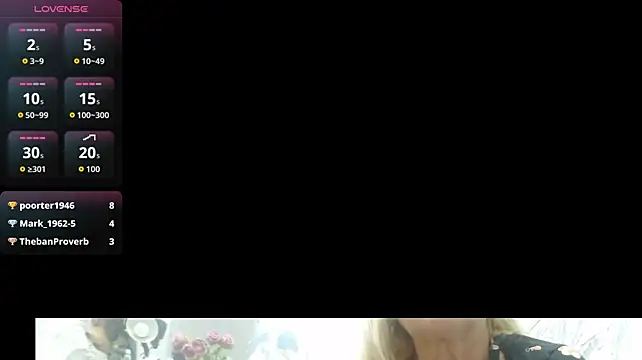 CamDiva113 webcam
