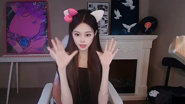 Baoer-001 webcam