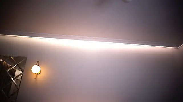 SecretHoney webcam