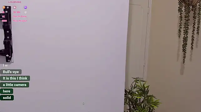 Johaphyton webcam