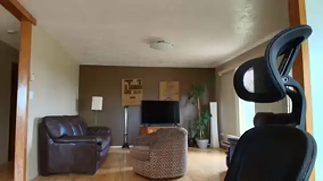 BasicAnt webcam