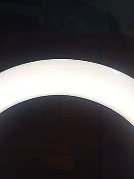 SlBrownCopule