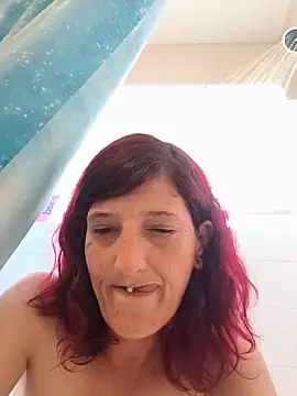 Kittiedivine webcam