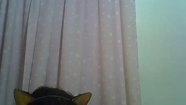 SkinnyKitten webcam