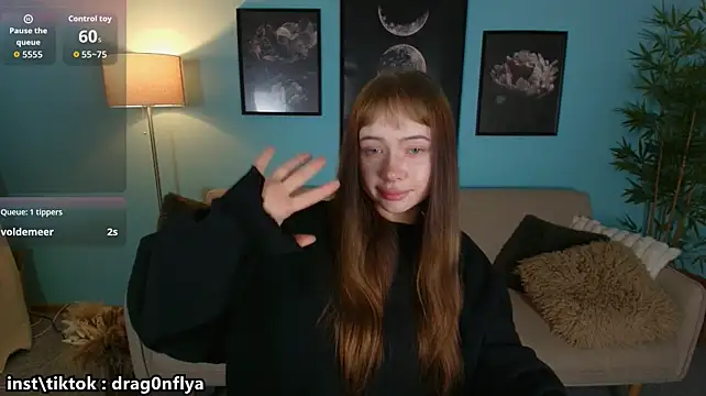 _DragonFlya_ webcam
