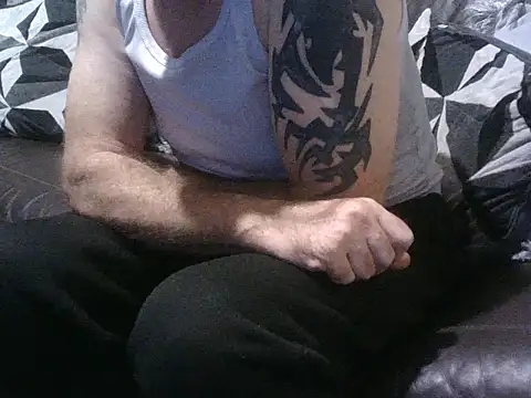 handyandyhandy webcam