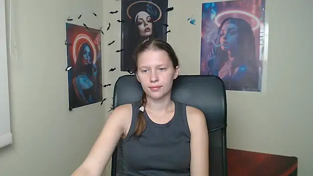 StellaCRL webcam