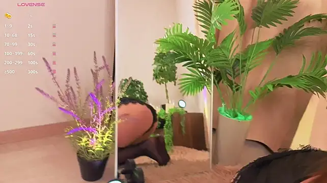 WoofBus webcam