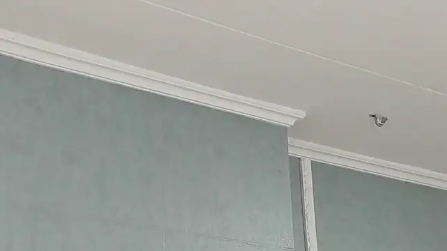 Coralcarter webcam