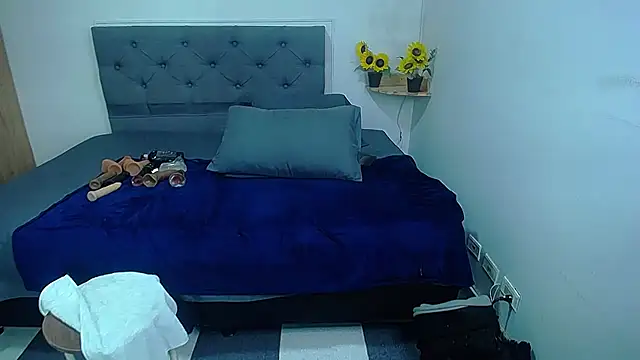 sasi_luna webcam
