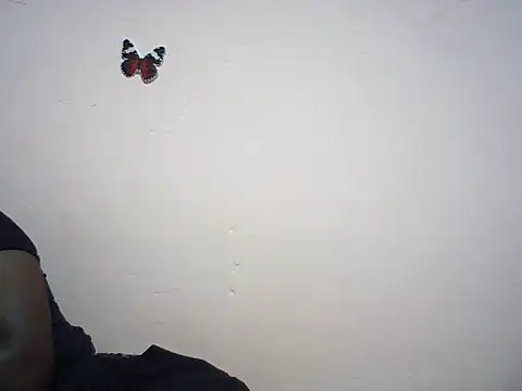 Hot_booty1 webcam