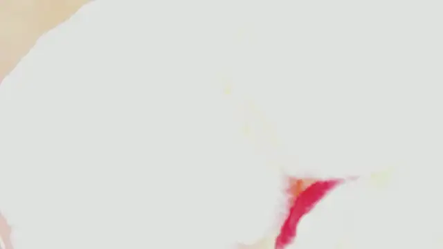 karol_stom webcam