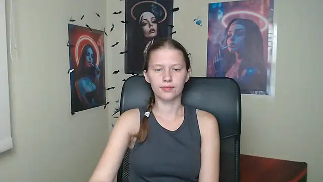 StellaCRL webcam