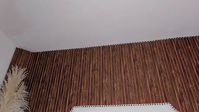 _Cherry_fox webcam