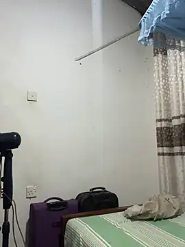 PainingBedroom webcam