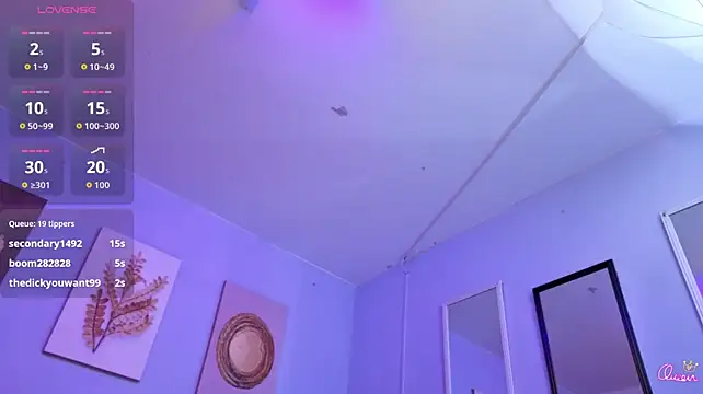 SALOME_F0X_ webcam