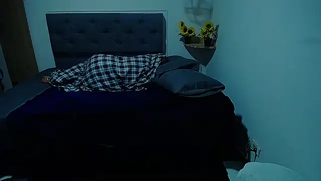 sasi_luna webcam