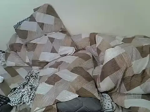 prettyfelly webcam