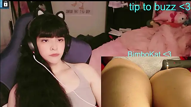 BimboCat webcam