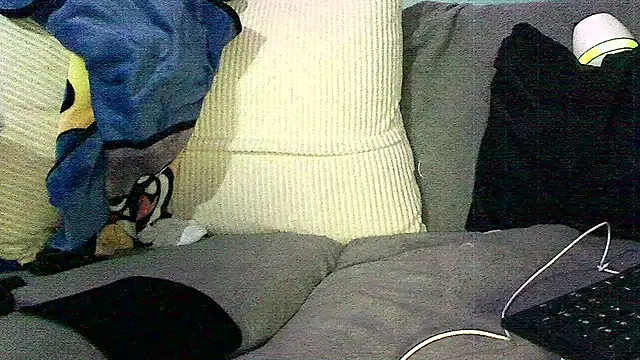 Houston_Hard webcam