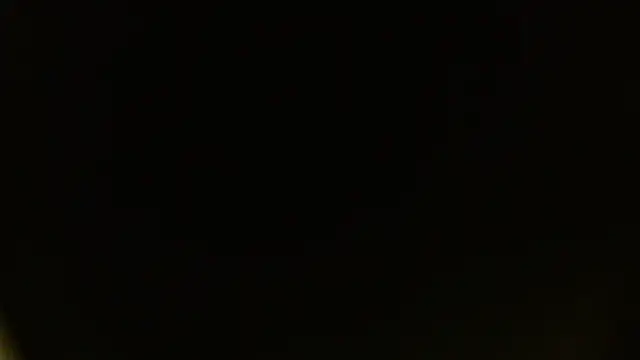 petitoiseau67 webcam