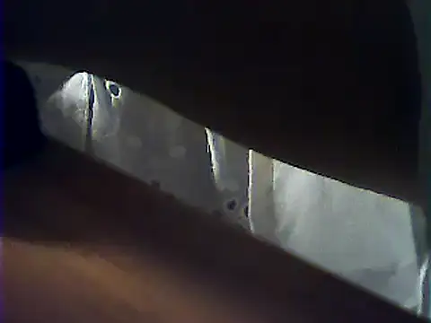 VeneRed webcam