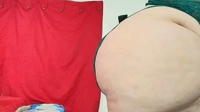 dominant_hipss webcam
