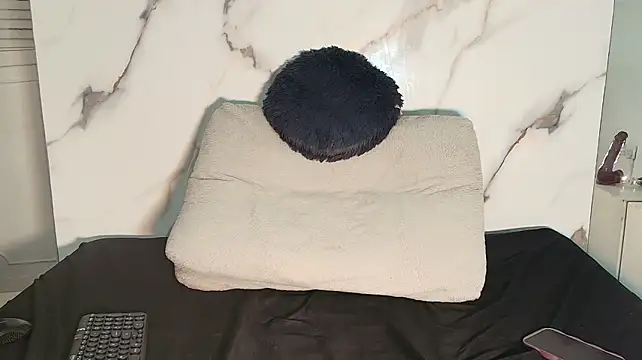 PaulineKosh webcam