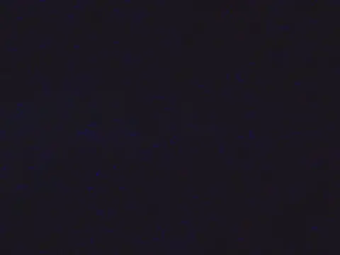 Iceybunny_ webcam