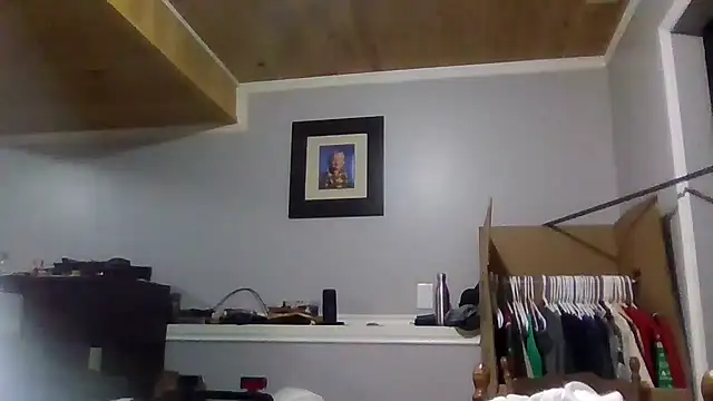 Mr_a420 webcam