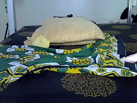 Dejavuh24 webcam