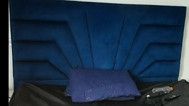 _Ana_Car webcam