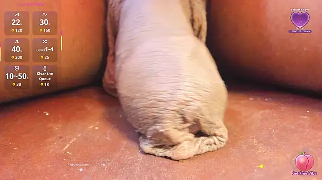 CharlotteLauren live sex cam