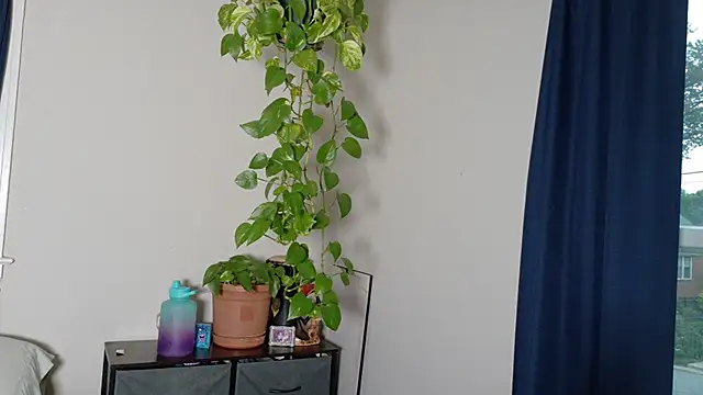 MaddyThorn webcam