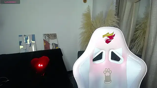 teylo80as webcam