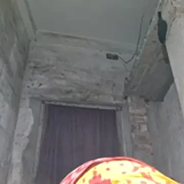 Misti_1 webcam