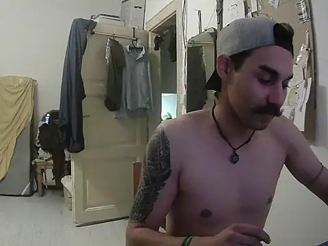 dais456 webcam