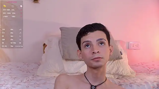 VicenteFerrer webcam