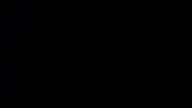sasi_luna webcam