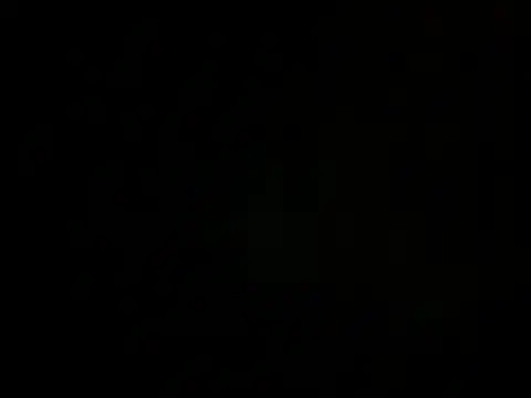 husbandandwifetobe webcam
