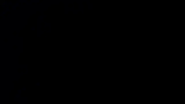 sasi_luna webcam