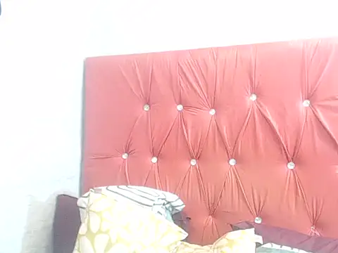 BaselBlues webcam
